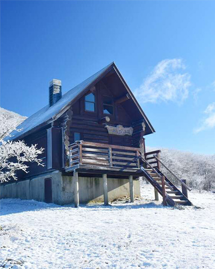 ボタニカルラボについて